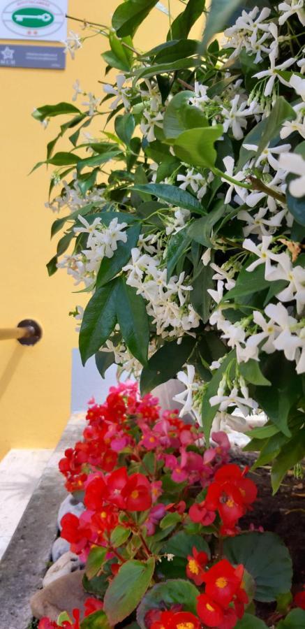 فندق Mediterranean Concept House لا سبيتسْيا المظهر الخارجي الصورة